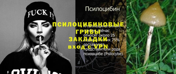 дурь Алексин