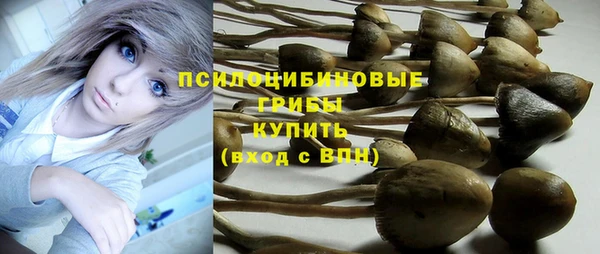 прущие крисы Алексеевка